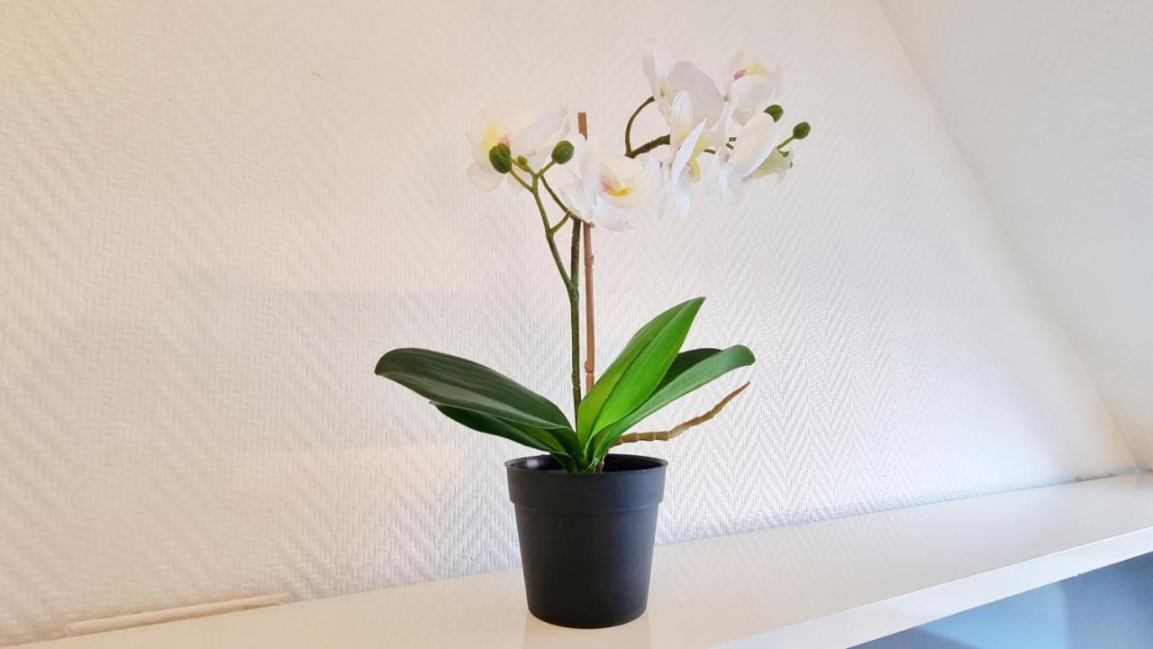 L'Evasion - Balcon - Fibre - Calme - Rbnb Bollwiller ภายนอก รูปภาพ
