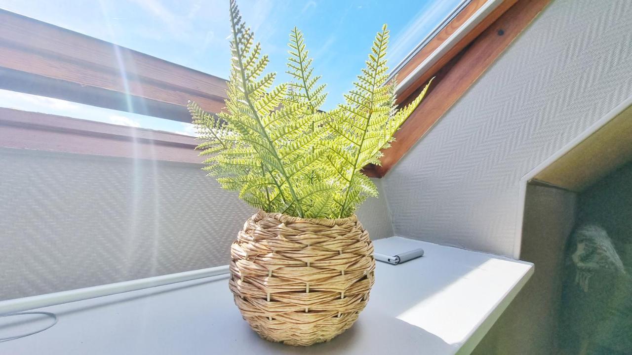 L'Evasion - Balcon - Fibre - Calme - Rbnb Bollwiller ภายนอก รูปภาพ